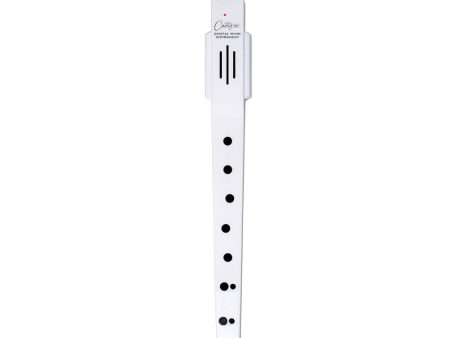 Blackstar Carry-on Digital Wind Instrument White Cheap